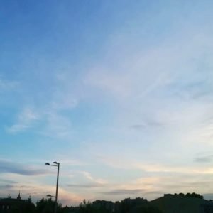 pexels-photo-8951999